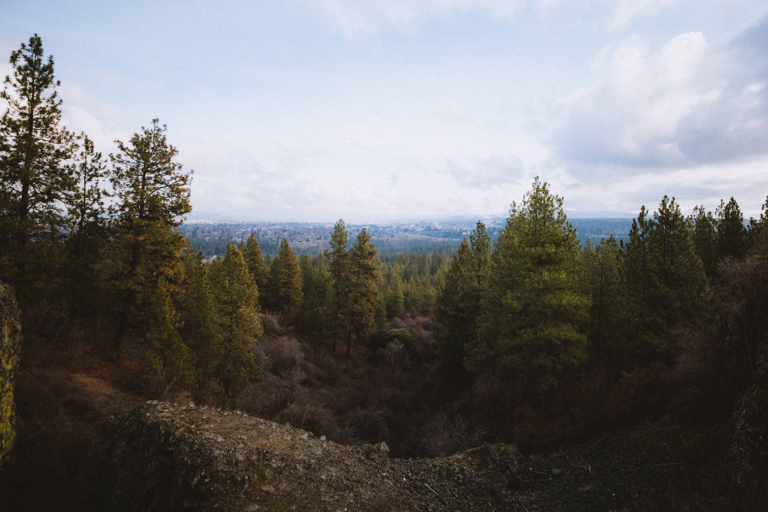 Hike Palisades Park Trail In Spokane For Beautiful City Views